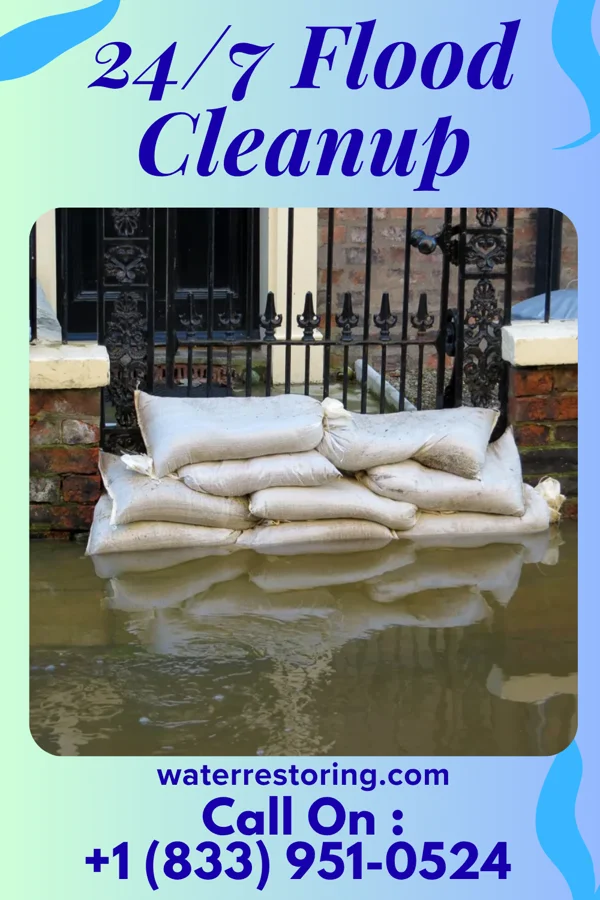24/7 Flood Cleanup in Natalia, TX