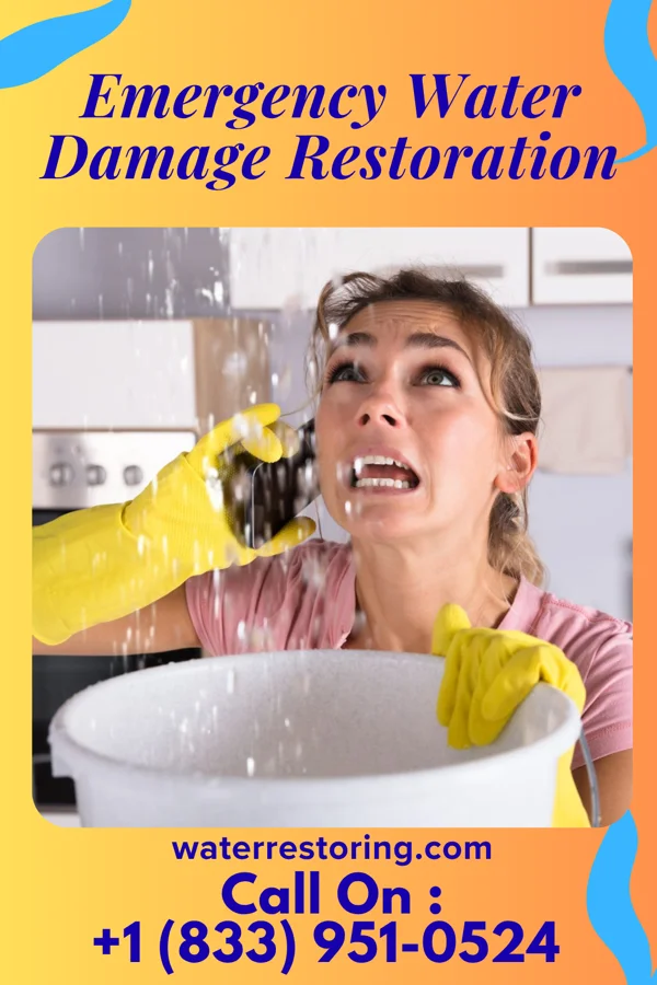 Emergency Water Damage Restoration in Natalia, TX