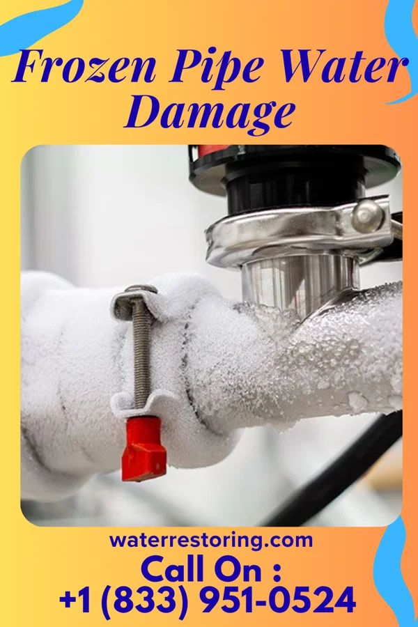 Frozen Pipe Water Damage in Natalia, TX