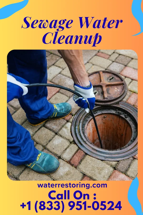 Sewage Water Cleanup in Natalia, TX