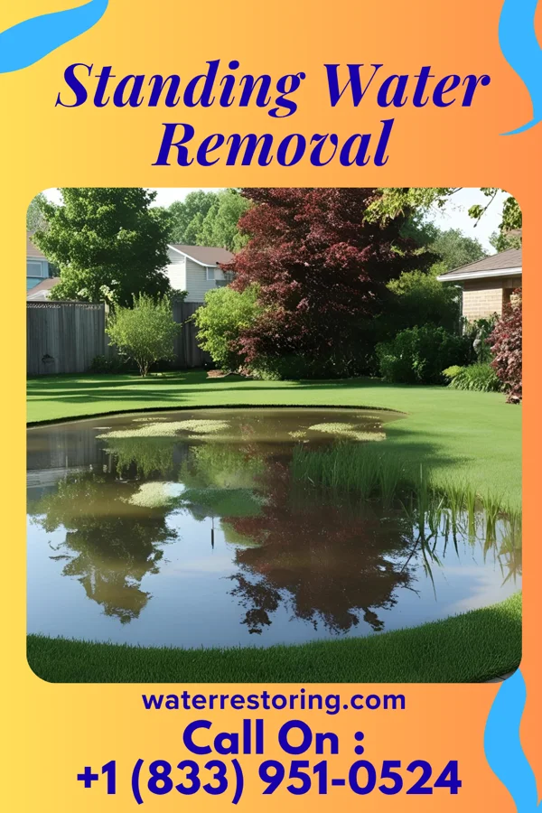 Standing Water Removal in Natalia, TX
